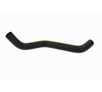 ACKOJA A64-1601 Radiator hose