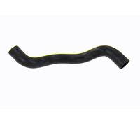 ACKOJA A70-1319 Radiator hose