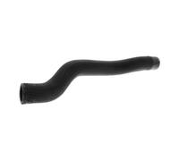 ACKOJA A32-1604 Radiator hose