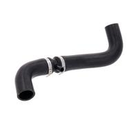 ACKOJA A38-1605 Radiator hose