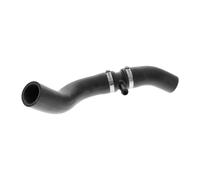 ACKOJA A38-1608 Radiator hose