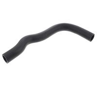 ACKOJA A52-1605 Radiator hose