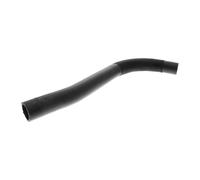 ACKOJA Radiator Hose for TOYOTA COROLLA E12 2001-01 to 2006-09 A70-1600