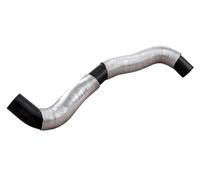 ACKOJA Radiator Hose High Quality for NISSAN MICRA III K12 2002-10 to 2010-06