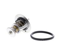 ACKOJA A52-99-0019 Thermostat