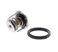 ACKOJA A52-99-0016 Thermostat