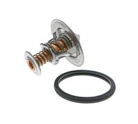 ACKOJA A70-99-0012 Thermostat