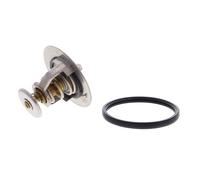 ACKOJA A52-99-0026 Thermostat