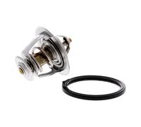 ACKOJA A53-99-0011 Thermostat