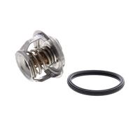 ACKOJA A63-99-0004 Thermostat