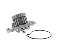 ACKOJA A26-50001 Water pump