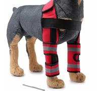 Acl Brace for Dogs, Strong Support Dog Knee Brace for Torn Acl Front Legs, Hip Dysplasia Arthritis Pain Relief, Osteoarthritis, And Ligament Injuries, Prevent Licking Wound,Red,S