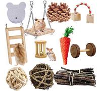 ACLUYSKA Hamster Guinea Pig Toys, 21PCS Small Animal Activity Chew Toys Accessories Molar Teeth Care Natural Apple Wood Ladder Bell Roller for Dwarf Hamsters Rat Chinchillas Gerbils Bunnies (21PCS)