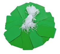 Acoeitl 200 Pcs 2.76'' x 1.57'' Green Blank Jewelry Price Tags with String Attached Retail Paper Gift and Sale Hang Tag Handwritten Price Display Lables for Pricing Clothes Necklace & Merchandise