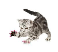 ACOGEDO 100PCS Pet Cat Soft PVC Nail Cover Claw Wrap Grooming Accessory Safe Non- To To Cat Nail CoverCat CapCat Claw Grooming CoverCat (S)