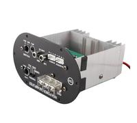 ACOGEDO Car Amplifier Board 120W 12V Pure Full Tone Bass Subwoofer Auto Stereo Speaker Amp Pushed the Can Stereo 400W + Using C5198 Power Amplifier Inches Car