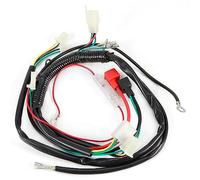 ACOGEDO Electric Engine Start Wiring Harness for Pit Bike Motorcycle Quad Motor Start Using Engine HarnessElectric WiringStart Harness for Pit BikeEngine