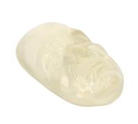 ACOGEDO Enhanced Skills Injection Training Head Face Model with Simulated Details and Silicone Material for Beautician and Plastic Surgeon Training