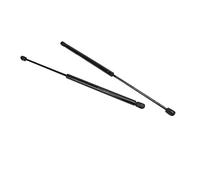 ACOGEDO Pair Tailgate Gas Spring Strut Supports Replacement for C4 C5 JUMPY XANTIA 206 - OE 8731E6 Compatible