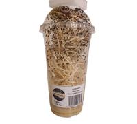 acomantis 24oz aco-smc Tub Flightless Fruit Flies (Drosophila culture)