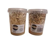 acomantis 2x16oz double-pack Flightless Fruit Flies Live Food (Drosophila Culture)