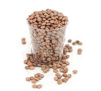 Aconbury Sprouts organically grown Brown Lentils for sprouting