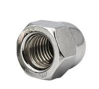 Acorn Cap Nuts 2/5pcs Acorn Cap Nut Metric Fine Thread M8 M10 M12 M14 M16 Stainless Steel Hexagon Dome(M12x1.0 2pcs)