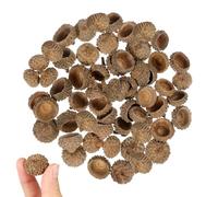 Acorn Shells 50 Pcs Natural for Craft Activities and Christmas | Decor, Autumn Craft Use, Natural Shell Pieces, Not Easy to Break,