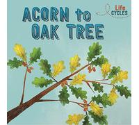 Acorn to Oak Tree