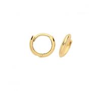 Acotis Gold Jewellery 9CT Yellow Gold Hinged Earrings ER1170 - Timeless Design |