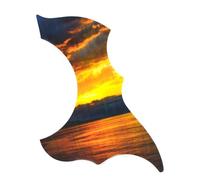 Acoustic Guitar Pickguard Colorful Personalized Bird-shaped Acoustic Guitar Pickguard Guitar Pickguard Guitar Strum Baffle(E)