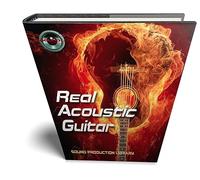 Acoustic Guitar Real - Large Perfect WAVe/Kontakt samples/loops/grooves studio Library !!! download only !!!