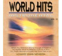 Acoustic Sound Orchestra - World Hits-Instrumental Vol.13