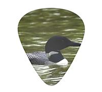 Acoustic Variety Pack Guitar Pick Pack Of 12 Including Thin, Medium And Heavy Guitar Pick Black And Gold Background