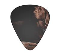 Acoustic Variety Pack Guitar Pick Pack Of 12 Including Thin, Medium And Heavy Guitar Pick Blue Mermaid
