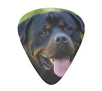 Acoustic Variety Pack Guitar Pick Pack Of 12 Including Thin, Medium And Heavy Guitar Pick Petoskey Stone