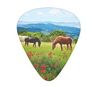 Acoustic Variety Pack Guitar Pick Pack Of 12 Including Thin, Medium And Heavy Guitar Pick Various Kinds Of Horses