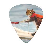 Acoustic Variety Pack Guitar Pick Pack Of 12 Including Thin, Medium And Heavy Guitar Pick Water Skiing Fox Squirrel
