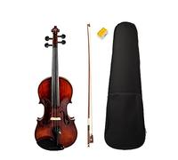 Acoustic Violin 4/4 Full Size Solid Wood Violin Fiddle Gloss Finish Violin