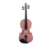 Acoustic Violin 4/4 Full Size Violin Fiddle Student Violin 4/4 Violin For Beginners W Case Bow String Shoulder Rest Mute