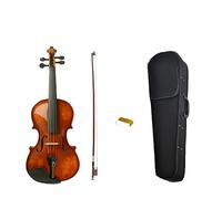 Acoustic Violin 4/4 Size Violin Fiddle Gloss Finishing With Case Bow SET