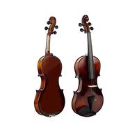 Acoustic Violin Handcrafted Hand Varnished 4/4 Full Size Violin (Color : 02)
