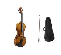 Acoustic Violin Set with Case 1 pc 4/4 Natural Acoustic Violin Retro Style Fiddle with Case & Bow Musical Instrument Accessories(Type B)