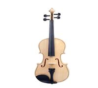 Acoustic Violin Set with Case 4/4 Acoustic Violin Set Student Fiddle High Gloss Finish Top With Bow String Case Whole SET
