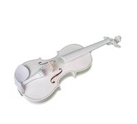 Acoustic Violin Set with Case 4/4 Handmade Acoustic Violin Beginner Set with Bow, Hard Case and Bridge, String Instrument for Beginners, Music Lovers
