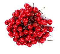 Acouto 100pcs Artificial Red Holly Berry Christmas Home Decoration Hanging Ornaments Home Especially Tree Artificial Holly BerryArtificial Red BerryArtificial BerryDecorative Christmas