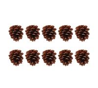 Acouto 10pcs Bird Bite Pine Cones Pine Cone Chewing Bird Toy for Parakeet Cockatiel Conure Finch Budgie Macaw ]- the and of F Bite ConesParrots Chewing