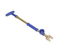 Acouto Bottle Type Sprayer with Double Nozzles G3/4 Female Thread Sprinkler for Garden Lawn Irrigation Connector for Suitable .25L Bo Garden SprayerDouble Nozzle SprayerIrrigation