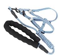 Acouto Dog Harn with Le Set Pet EscapeProof Harn St for Walking(S) S) Dog with LeashDog with StrapDog Set HarnessWalking Pet (S (suitable for 3-8 catties))