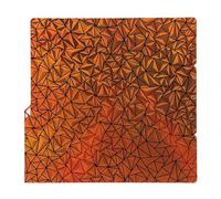 Acouto Double Sided PEY PEO Build Plate 264x276mm Flexible Spring Steel Sheet with Gradient Holographic Effect and Glowing Star Pattern, Replacement for S1 Combo 3D Printer